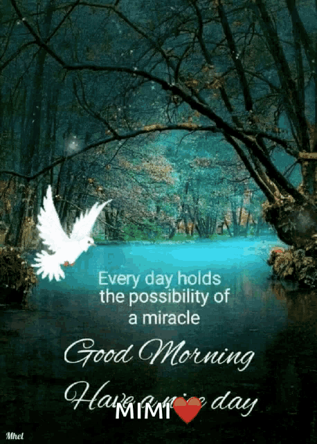 a picture of a bird flying over a body of water with the words " every day holds the possibility of a miracle good morning "