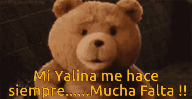 a teddy bear with the words mi yalina me hace siempre mucha falta written above it