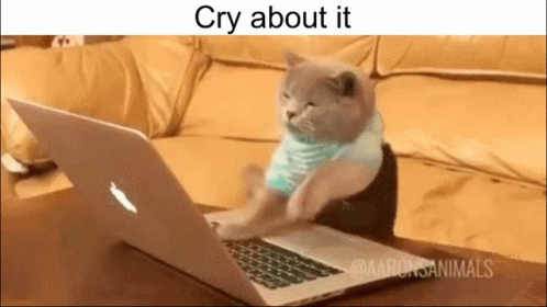 Cry About It Cry About It Cat GIF - Cry About It Cry About It Cat Cat Cry About It GIFs