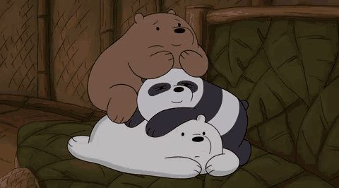 a couple of bears laying on top of each other
