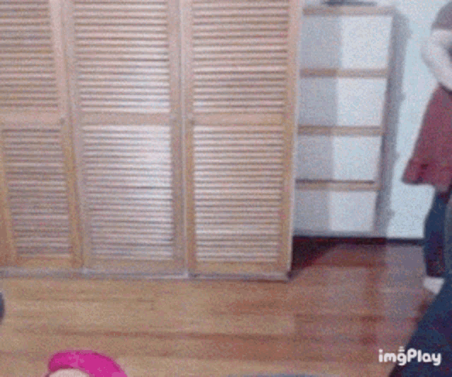 Wanessa Wolf Wanessa GIF
