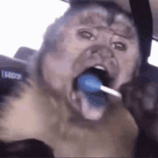 a close up of a monkey licking a lollipop in a car .