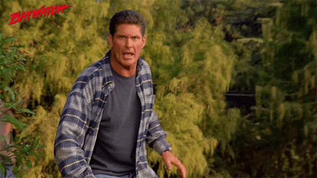 a man in a plaid shirt is standing in front of trees and the word baywatch is on the bottom