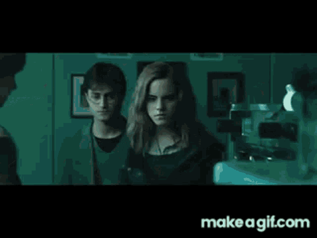Ron Weasley Harry Potter GIF - Ron Weasley Harry Potter Hermoine Granger GIFs