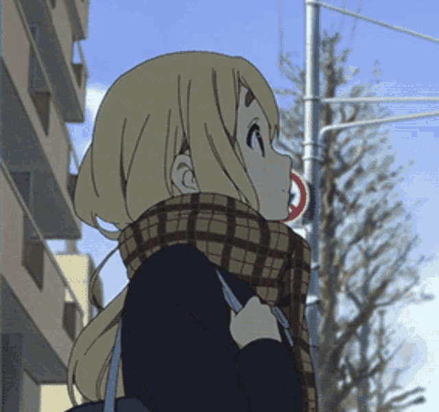 a girl wearing a plaid scarf stands in front of a street sign that says no parking