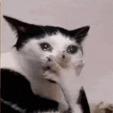 a black and white cat is crying and covering its face with its paw .