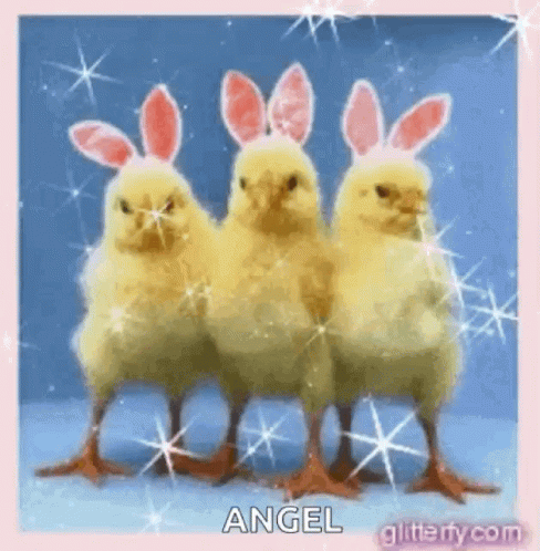 Happy Easter Chicks GIF - Happy Easter Chicks Bunny Ears GIFs