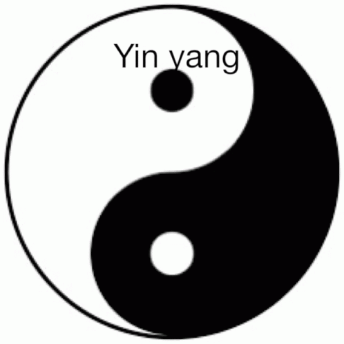 Yin Yang GIF - Yin Yang GIFs