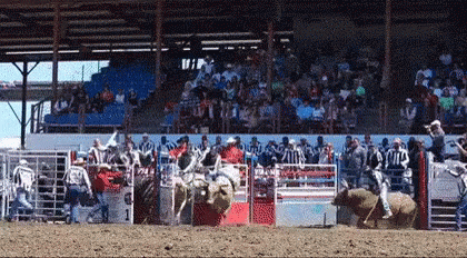 Who Can Stay On GIF - Who Can Stay On Ride Bull Riding GIFs