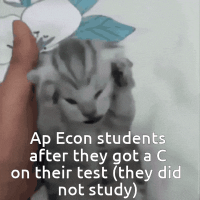 Ap Classes Ap Econ GIF - Ap Classes Ap Econ Ngl I'M Just Calling Myself Out GIFs