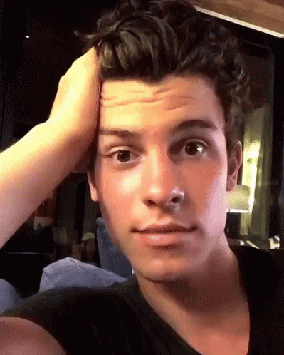 Shawn Mendes Yes GIF - Shawn Mendes Yes Eyebrows GIFs