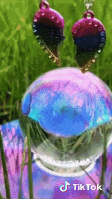 a tiktok video shows a frog in a glass sphere