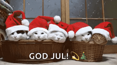a group of cats wearing santa hats in a wicker basket .