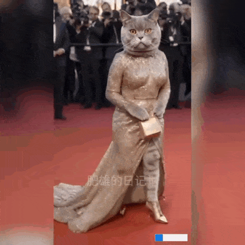 a cat wearing a gold dress and heels is on a red carpet