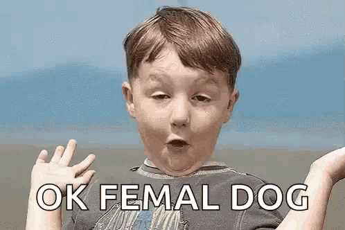 a young boy is making a funny face and saying `` ok femal dog '' while standing on a beach .