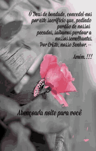 a black and white photo with a pink flower and a butterfly