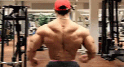 Even More Muscles GIF - Bodybuilder Bodybuilding Muscles GIFs