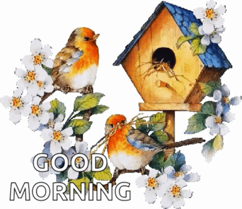Good Morning Birds GIF - Good Morning Birds Sparkles GIFs