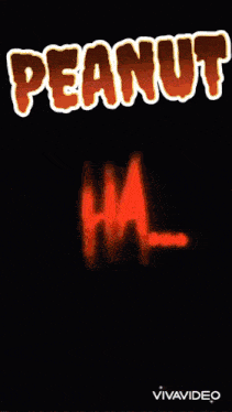 the word peanut is on a black background with flames