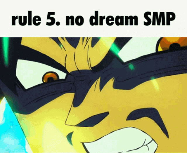 rule 5 : no dream smp is written over a cartoon character 's face