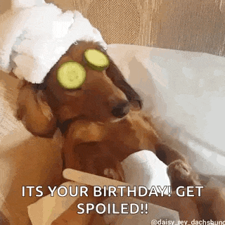 a dachshund wearing a towel and cucumber slices on its eyes is laying on a bed .