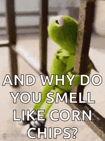 kermit the frog is sitting on a railing looking out a window .