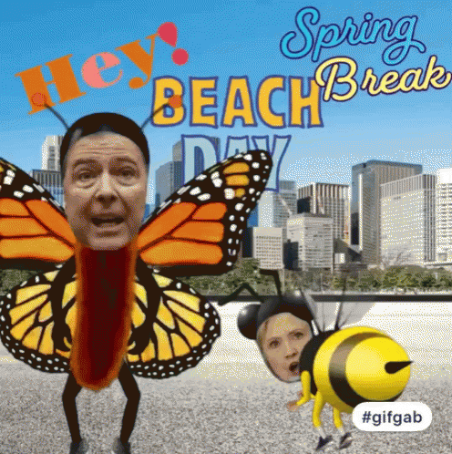 Spring Break GIF - Spring Break Beach GIFs