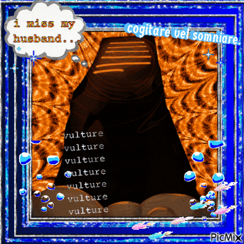 a picture of a vulture with the words i miss my husband