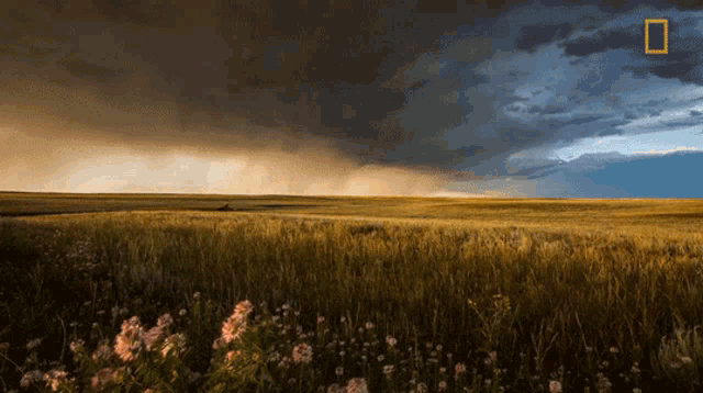 Storm Is Coming World Meteorological Day GIF - Storm Is Coming World Meteorological Day Stormscapes GIFs