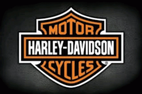 Bikers Harley GIF - Bikers Harley Davidson GIFs