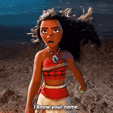 a cartoon character from the movie moana is standing on a beach and saying `` i know your name '' .