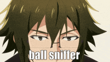 a close up of a person 's face with the words " ball sniffer " on it
