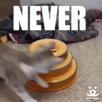 Never Give GIF - Never Give Up GIFs