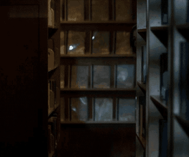 a library with a lot of books on the shelves and a dark background