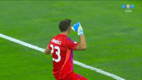 a soccer player wearing a red jersey with the number 23 on it is standing on a field .