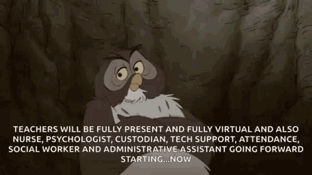 a cartoon owl with the words " teachers will be fully present and fully virtual and also "