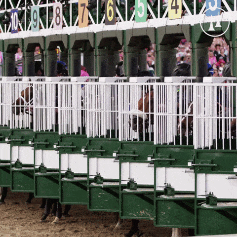a row of horses are lined up in a fenced in area with the numbers 10 9 8 7 6 5 4 and 3 visible