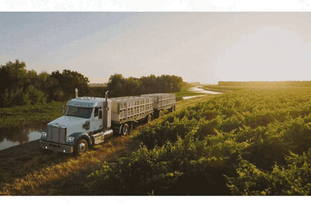 a semi truck is driving through a lush green field near a river