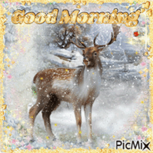 a picture of a deer in the snow with the words good morning on it