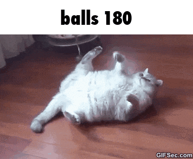 a cat is laying on its back on a wooden floor with the words balls 180 below it