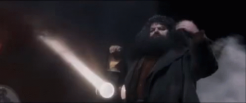Hagrid Harry Potter GIF - Hagrid Harry Potter Come On GIFs