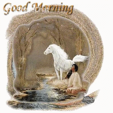 Good Morning White Horse GIF - Good Morning White Horse River GIFs