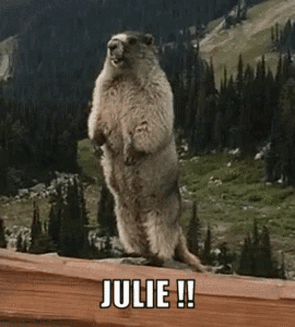 Juliiie Julie GIF - Juliiie Julie Hey GIFs