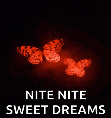 Nite Goodnight GIF - Nite Goodnight Sparkles GIFs