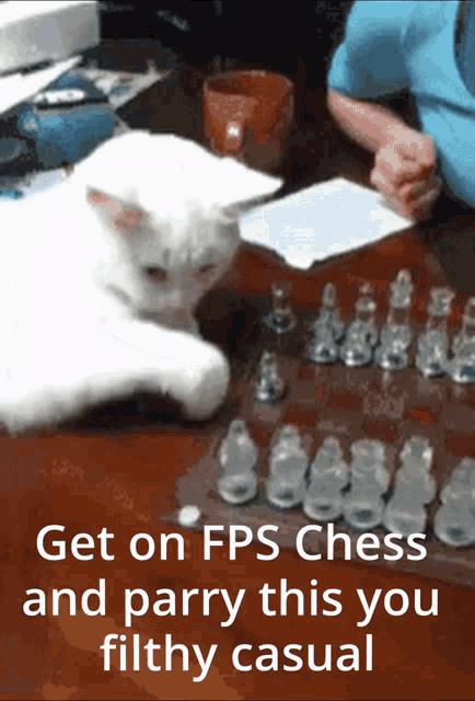 Cat Fps Chess GIF - Cat Fps Chess Get On GIFs