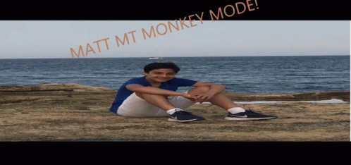 Matt Monkey Matt GIF - Matt Monkey Matt Matt Mt GIFs