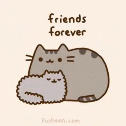 Cat Friendsforever GIF - Cat Friendsforever GIFs
