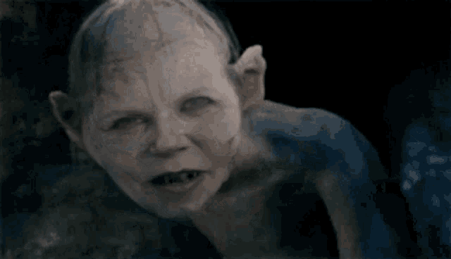 Shmegal Lord GIF
