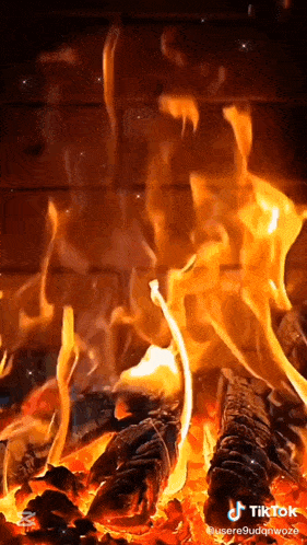 a fire is burning in a fireplace with tiktok written on the bottom right corner