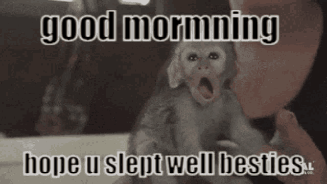 Gm Epics Good Morning Monke GIF - Gm Epics Good Morning Monke Good Morning Monkey GIFs
